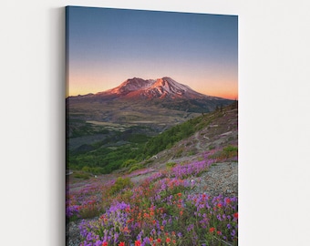 Mt St. Helens Wildflower Print | Pacific Northwest Landscape Photography