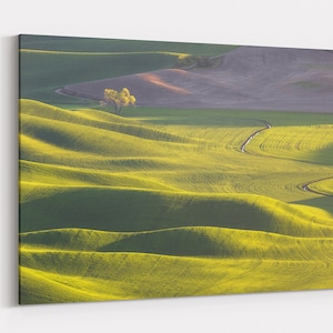 Hermosa fotografía de Palouse, Washington / Impresión, metal, lienzo / Arte mural / Fotografía del noroeste del Pacífico / Decoración del hogar / Naturaleza, Campos de trigo