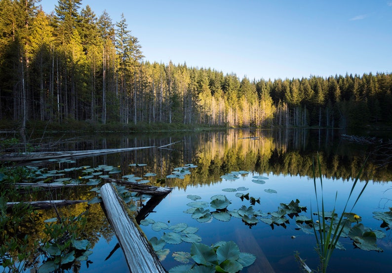 Metal Gift Wall Art Home Decor Peaceful Lake in Washington State Print Canvas Pacific Northwest Photography Nature Lustre