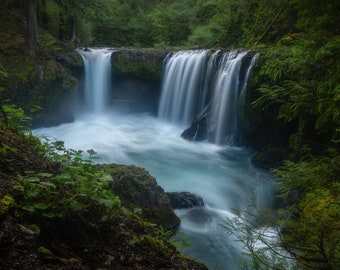 Könnte beinhalten: Ein Wasserfall stürzt über mit Moos bedeckte Felsen in einem üppigen grünen Wald. Das Wasser ist klar und blau, und das umliegende Grün ist lebendig.