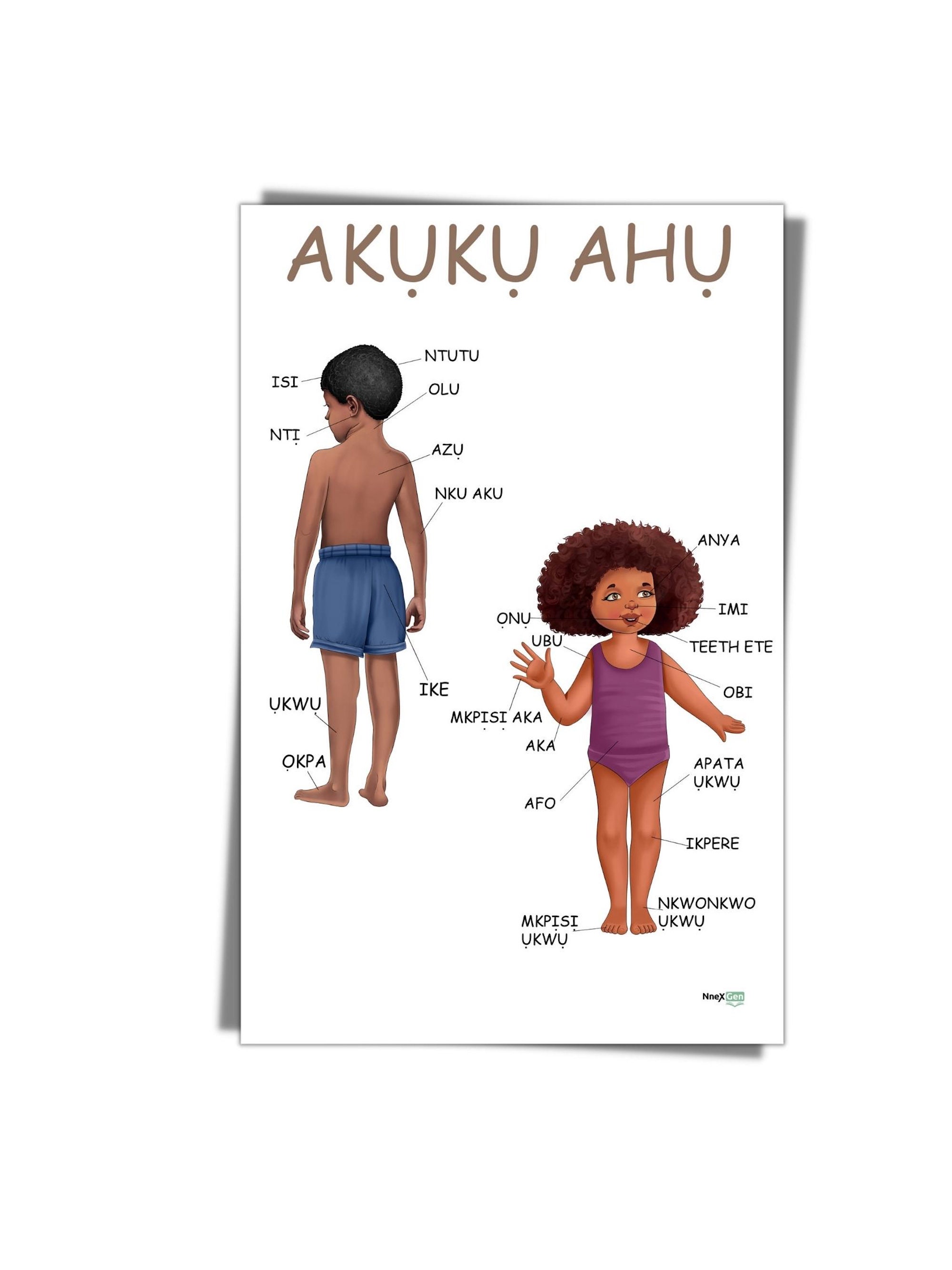 Igbo Flashcards + Numbers Poster + Body Parts Poster - Etsy