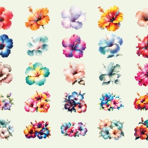 May include: A collection of 24 vibrant hibiscus flower illustrations in various colors, including red, pink, blue, yellow, and orange. The flowers are depicted in a realistic style with intricate details.