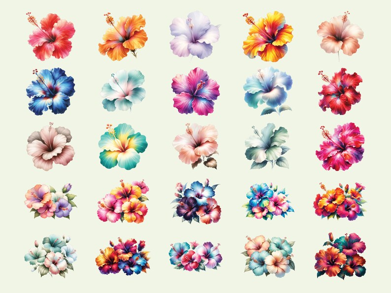 May include: A collection of 24 vibrant hibiscus flower illustrations in various colors, including red, pink, blue, yellow, and orange. The flowers are depicted in a realistic style with intricate details.