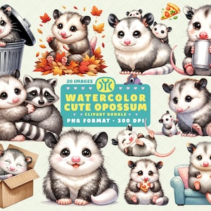 Acuarela linda zarigüeya clipart, lindo zarigüeya PNG, paquete de imágenes prediseñadas de zarigüeya, imágenes prediseñadas de zarigüeya, animal del bosque, bebé zarigüeya PNG, decoración de vivero