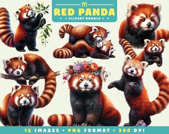 Red Panda Clipart, 15 High Quality PNGs, Watercolor Clipart Bundle, Red Panda PNG, Forest Animals, Digital Download