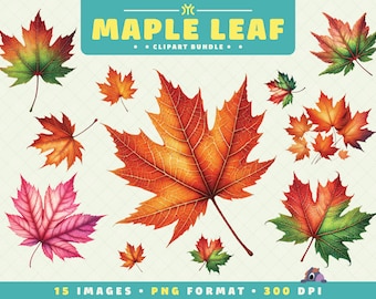 Maple Leaf Clipart, 15 PNG Files, High-Resolution, Leaf Clipart, Autumn Art for Scrapbooking, Invitations, Crafts, Digital Download