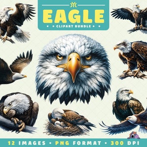 Eagle Clipart, 12 High Quality PNGs, Watercolor Clipart Bundle, Eagle PNG, Bird Art, Digital Download