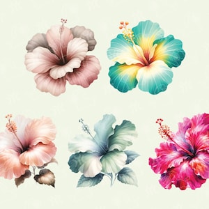 May include: Six watercolor paintings of hibiscus flowers in various colors, including pink, blue, green, and red. The flowers are depicted with intricate details and realistic textures.