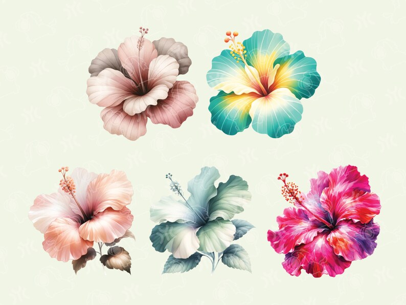 May include: Six watercolor paintings of hibiscus flowers in various colors, including pink, blue, green, and red. The flowers are depicted with intricate details and realistic textures.