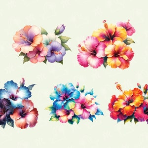 May include: Six bouquets of colorful hibiscus flowers with green leaves. The flowers are in shades of pink, red, orange, yellow, blue, and purple.