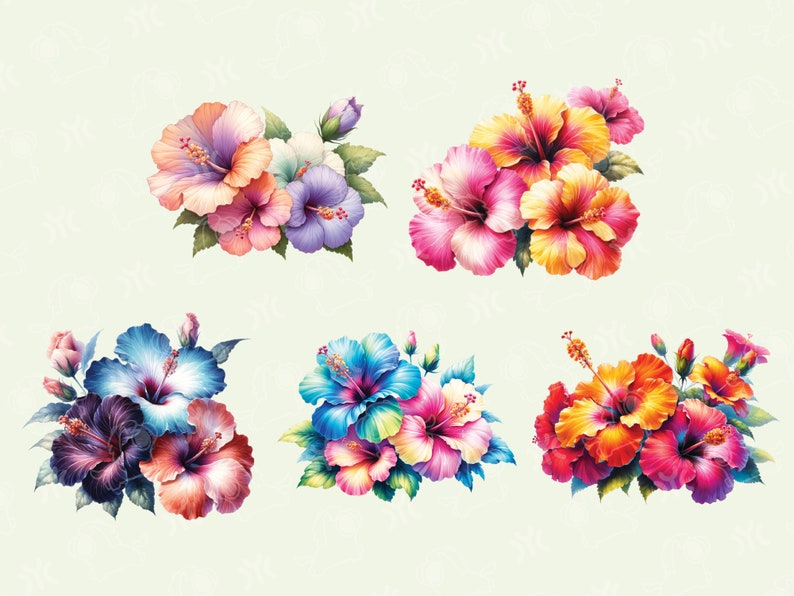 May include: Six bouquets of colorful hibiscus flowers with green leaves. The flowers are in shades of pink, red, orange, yellow, blue, and purple.