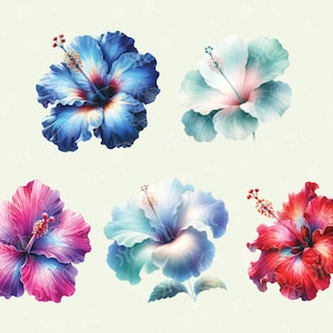 May include: Six watercolor paintings of hibiscus flowers in various colors, including blue, pink, red, and white.