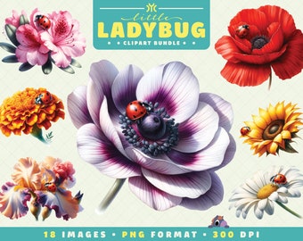 Piccola coccinella su fiori Clipart, PNG di insetti, PNG di fiori, Clipart di insetti, PNG di coccinella, Clipart floreale, Arredamento della scuola materna