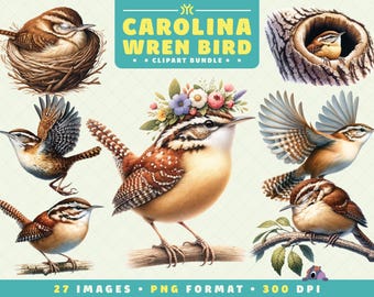 Carolina Wren Bird Clipart, 27 PNG Files, High-Resolution, Bird PNG, Wildlife Art for Scrapbooking, Invitations, Crafts, Digital Download