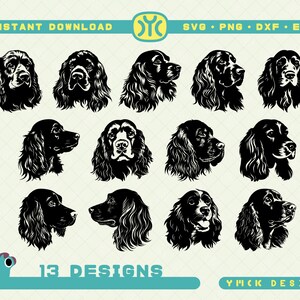 Könnte beinhalten: Dreizehn Schwarzweiß-Silhouetten-Designs eines Springer Spaniel-Hunde-Kopfes in verschiedenen Posen. Die Designs sind perfekt für Bastelprojekte, Logos und mehr.