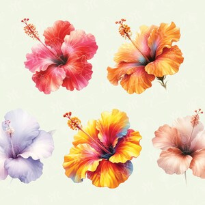 May include: Five watercolor paintings of hibiscus flowers in various colors, including pink, orange, yellow, purple, and peach.