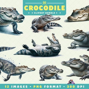 Crocodile Clipart, 12 High Quality PNGs, Watercolor Clipart Bundle, Reptile PNG, Alligator Art, Digital Download