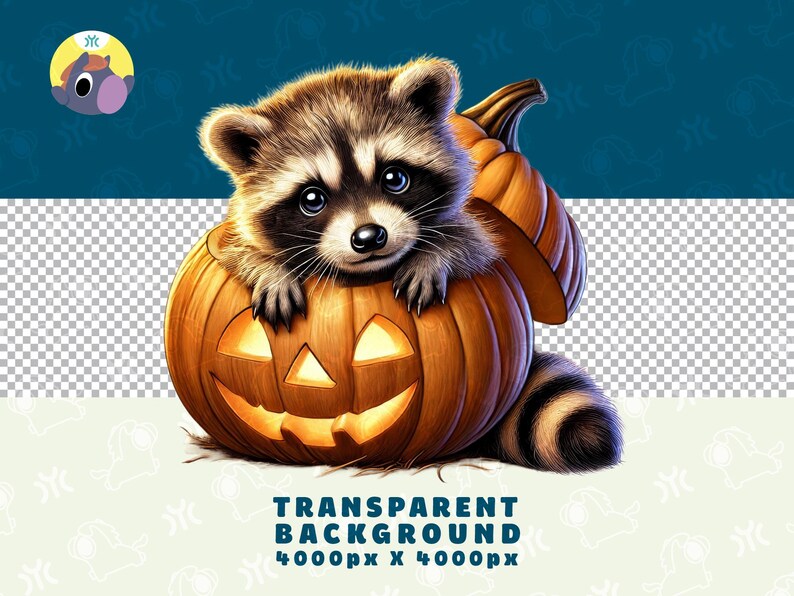 Puede incluir: Un lindo mapache asom&aacute;ndose a una calabaza tallada con una cara sonriente. El mapache tiene ojos negros y una nariz negra. La calabaza es naranja y tiene un tallo verde.