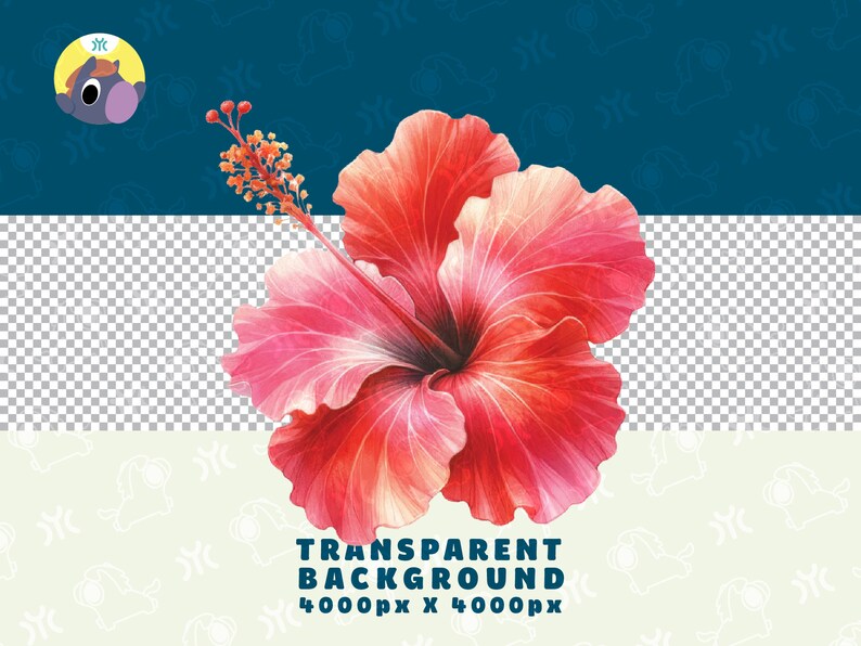 May include: A vibrant pink and red hibiscus flower with a yellow center, isolated on a transparent background. The flower has five petals and is in full bloom.
