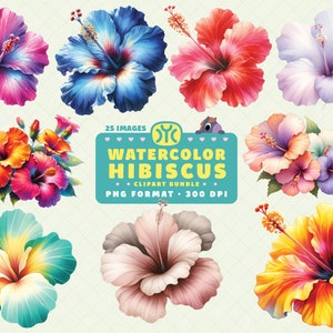 Watercolor Hibiscus Flower Clipart, Hibiscus Clip Art, Hawaiian Flower Png, Tropical Clipart, Hibiscus Flower PNG, Tropical Flower PNG