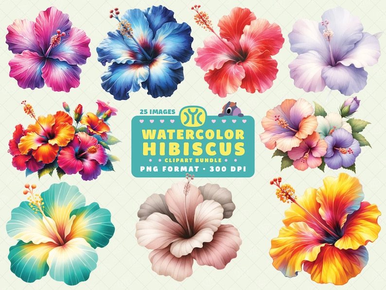 May include: A set of 25 watercolor hibiscus flower illustrations in various colors, including pink, blue, red, yellow, and white. The flowers are in PNG format and 300 DPI.