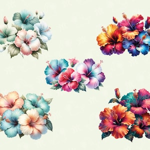 May include: Five bouquets of colorful hibiscus flowers with green leaves. The flowers are in shades of pink, blue, red, orange, and purple.