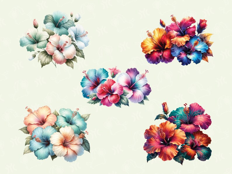May include: Five bouquets of colorful hibiscus flowers with green leaves. The flowers are in shades of pink, blue, red, orange, and purple.