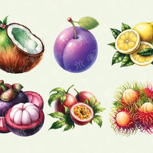 Watercolor Fruits Clipart, 40 High Quality Pngs, Watercolor Clipart ...