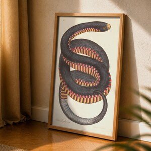 深紅色のヘビのプリント、ジェームズ・ソーワービーによる動物学イラストポスター、ヘビの壁掛けアート