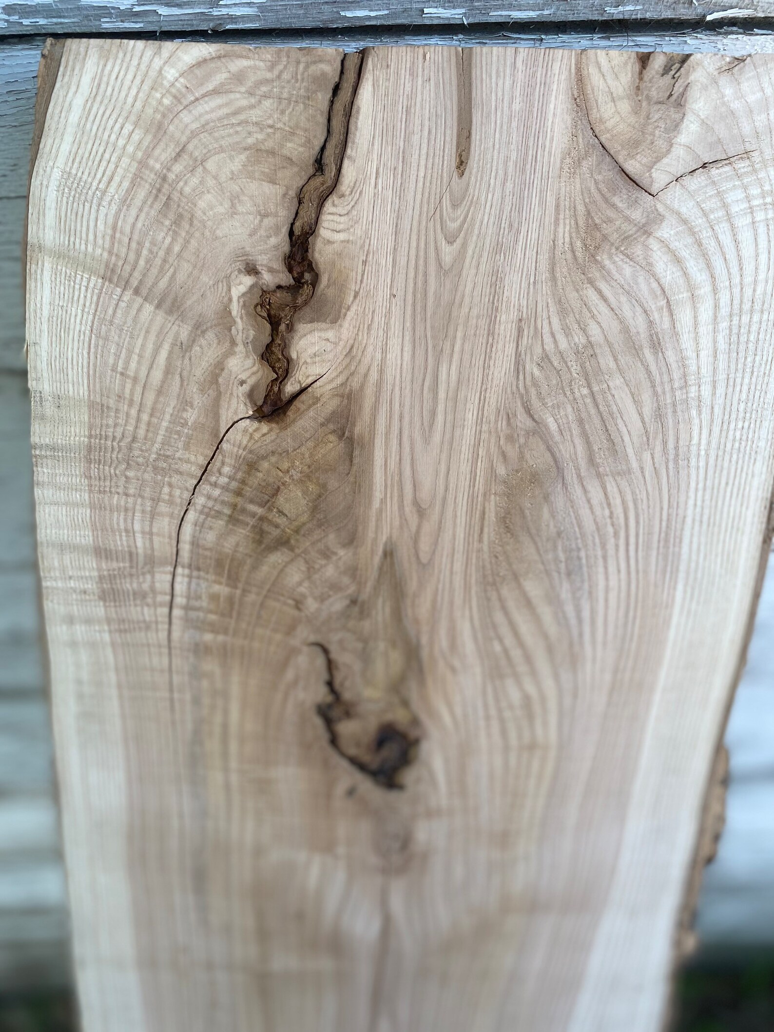 Table Top Slab Live Edge Slab Wood Slab Natural Edge Slab Etsy Canada