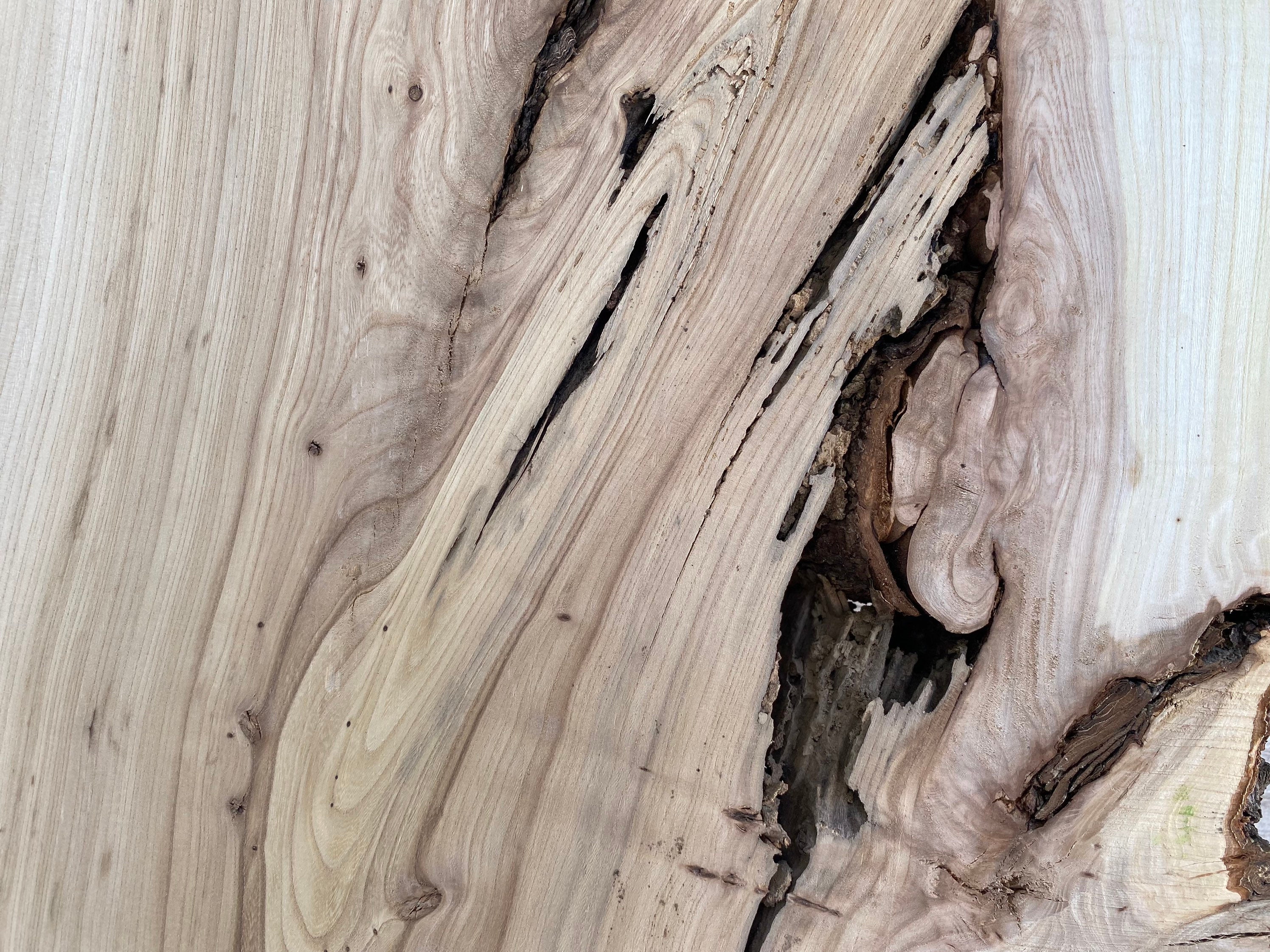 Live Edge Wood Slab for Epoxy Resin Pour Do It Yourself Etsy