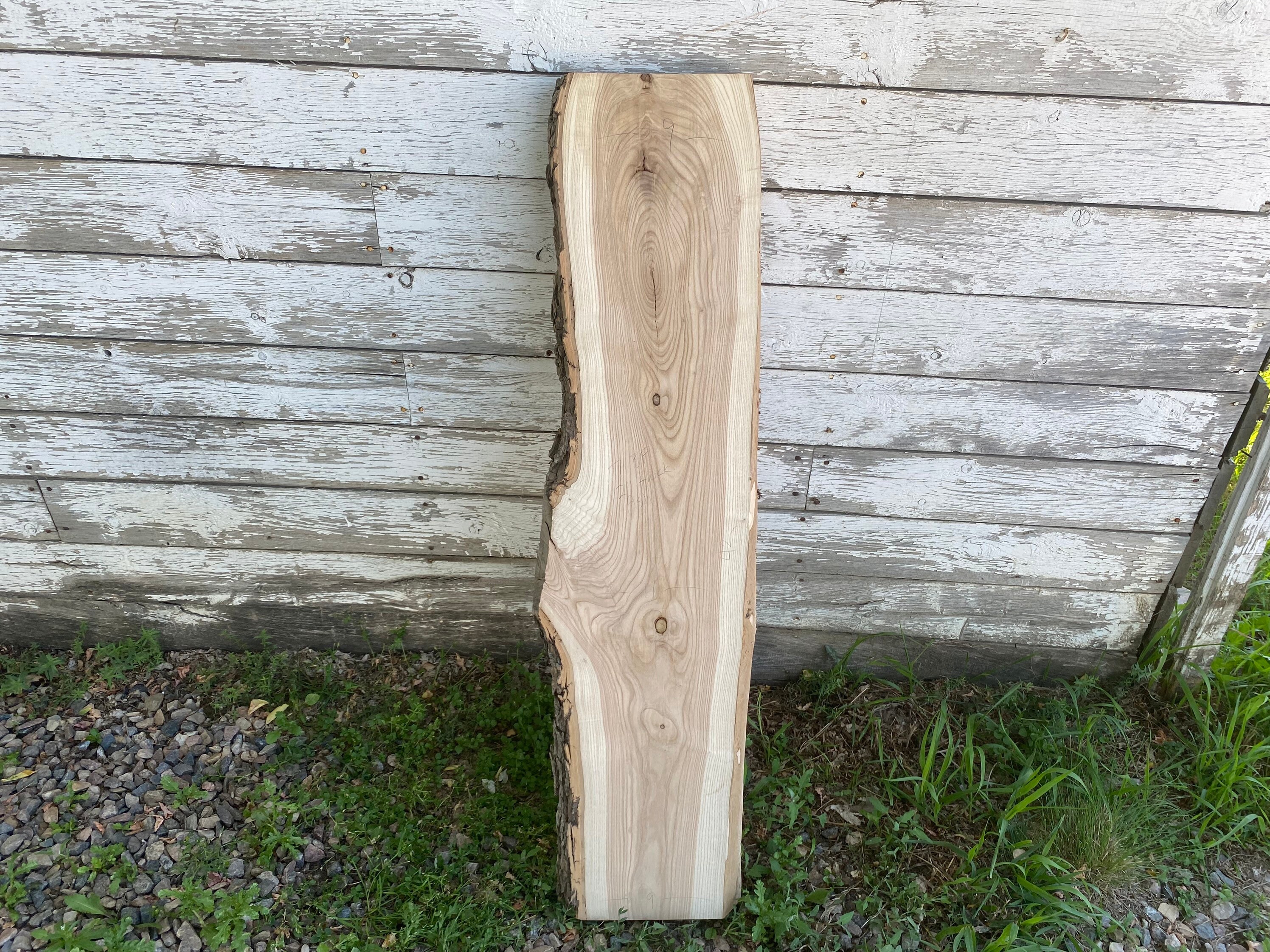 Table Top Slab Live Edge Slab Wood Slab Natural Edge Slab Etsy Canada