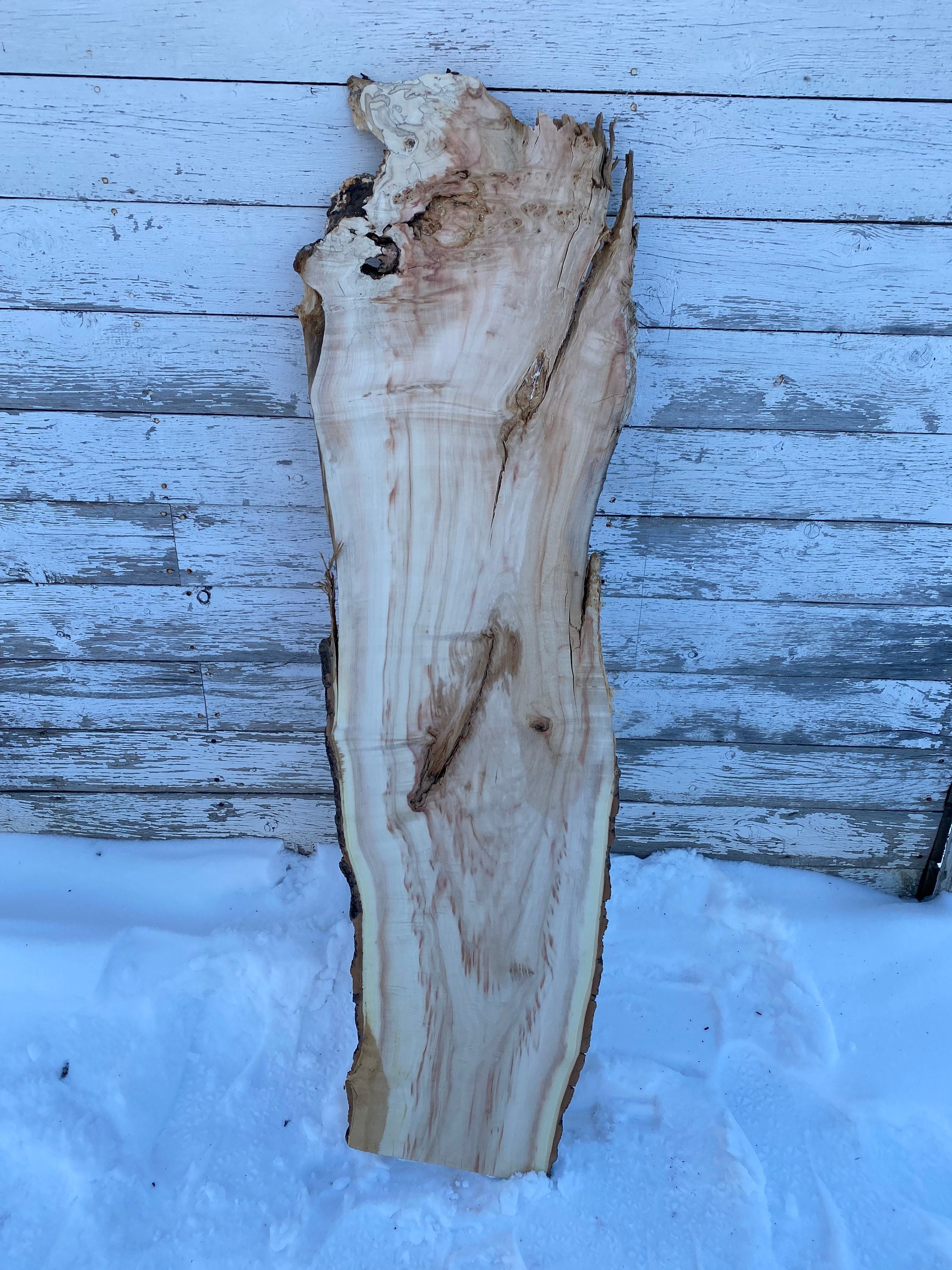 Live Edge Sugar Maple Slab Wood