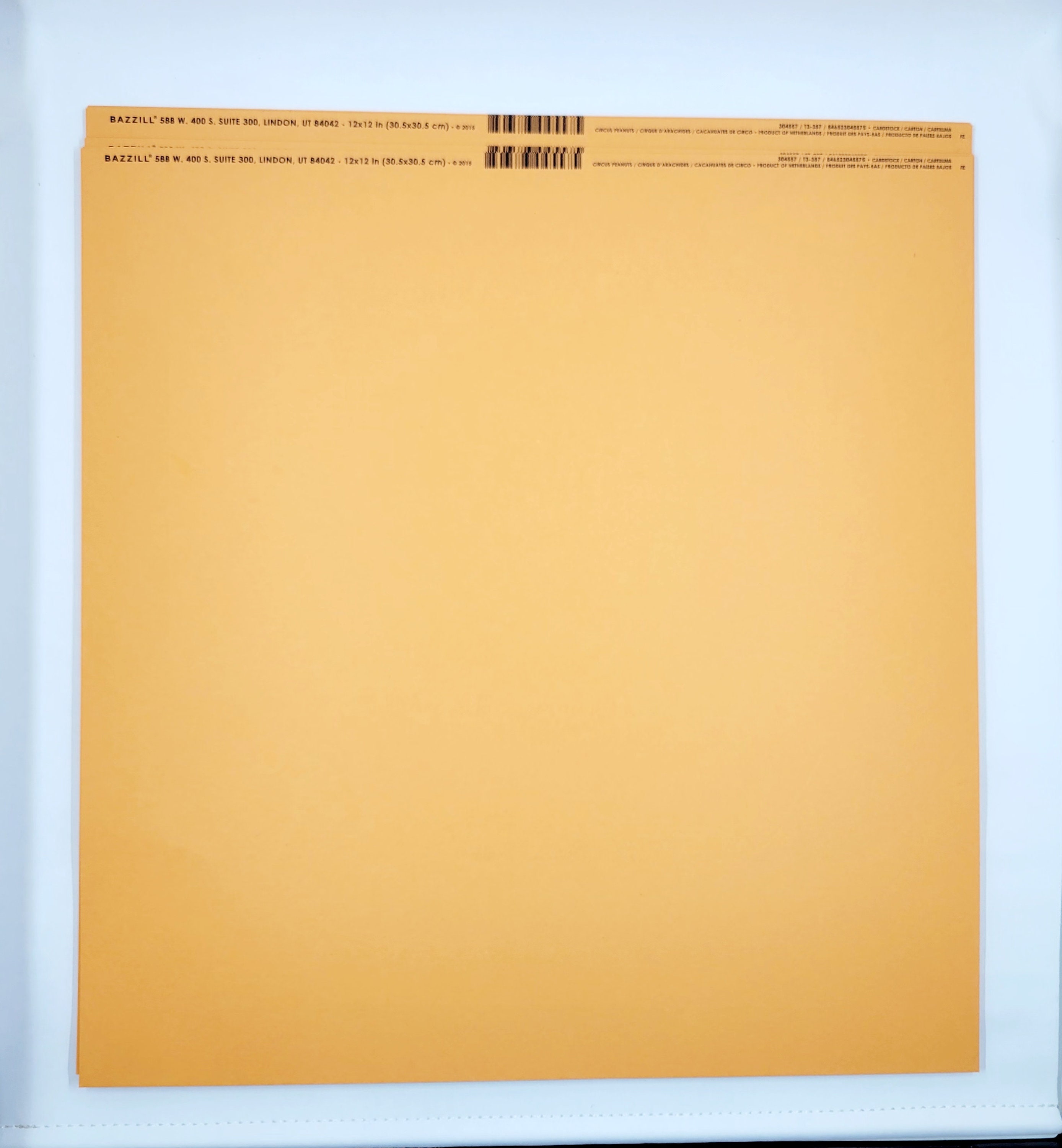 Bazzill Premium - 12x12 Paper Pack – Priceless Scrapbooks