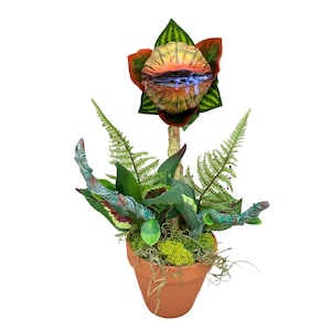 Little Shop Killer Plant Audrey Horror Piranha Alien Venus Fly Trap