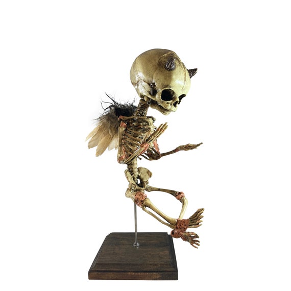 Incubus Demon In Utero Fetus Skeleton Oddity Medical Devil Specimen Fetal Gaff