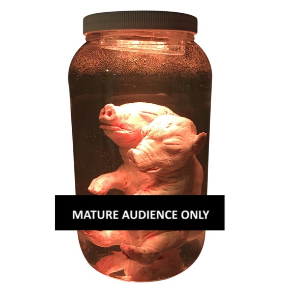 Plastic Fetal Pig Siamese Twin Piglet Conjoined Pickled Fetus Gaff Two Headed Specimen