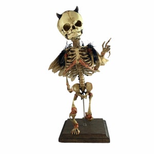 Kneeling Demon Incubus Fetal Skeleton Fetus Oddity Medical Specimen Baby