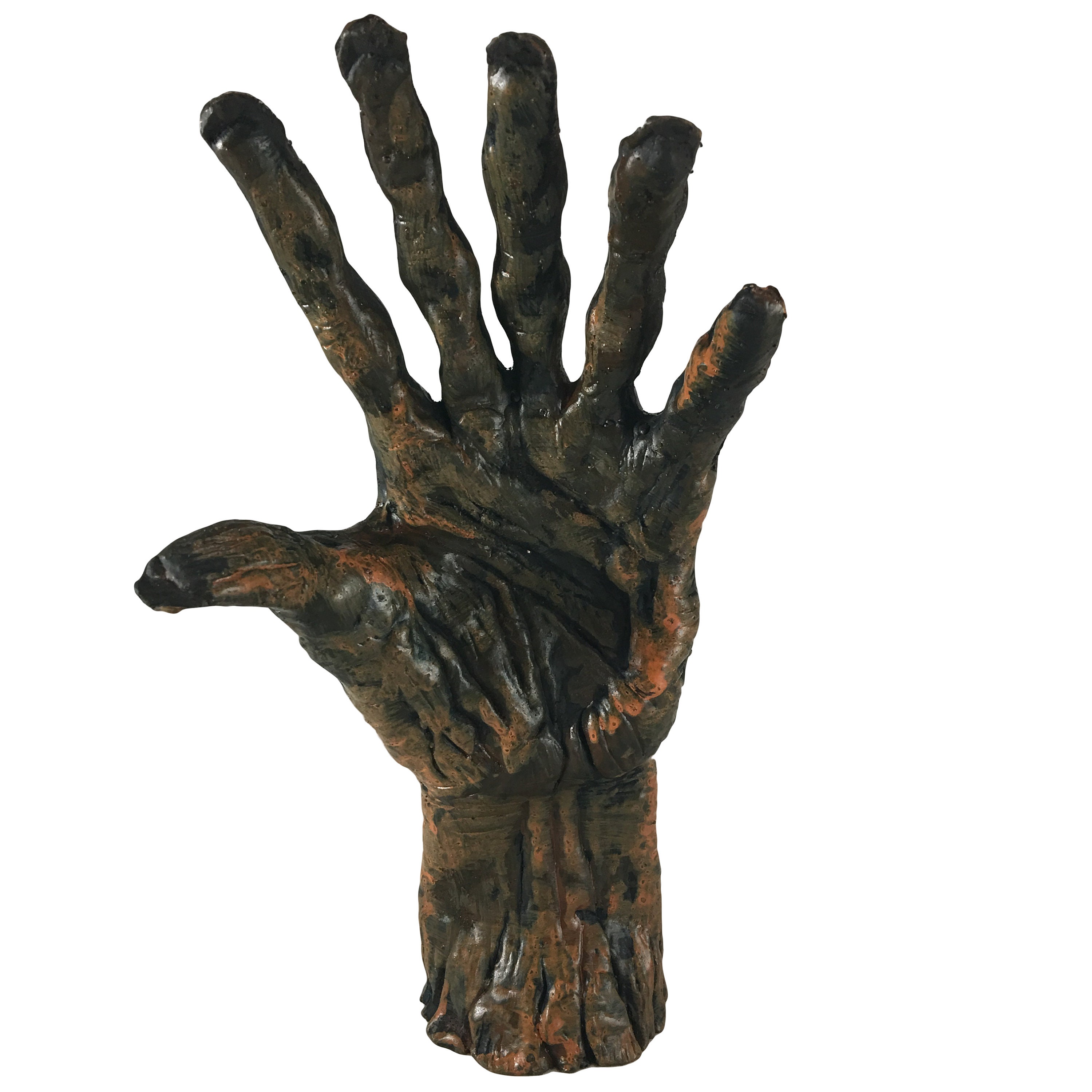 Bizarre 6 Six Finger Mummified Hand Oddity Medical Gaff Mummy