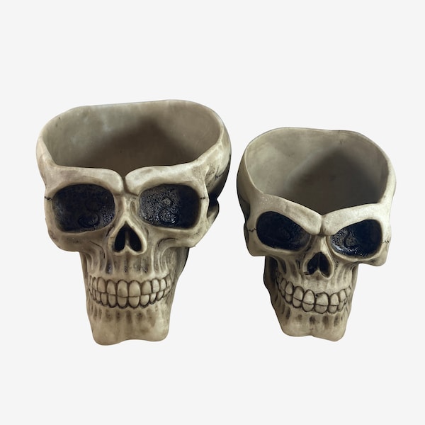 Skull Candy Bowl Resin Large Small Bone Cup Oddity