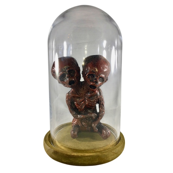 Deluxe Siamese Twin Conjoined Mummy Fetus with Bell Jar