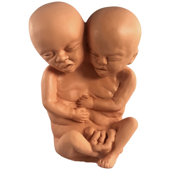Faux Formaldehyde Skin Siamese Twin Conjoined Fetus Baby Fetal Two Headed Fetal Gaff