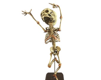 Danse Macabre Aged Human Fetal Skeleton Replica Fetus Oddity Medical Specimen Baby