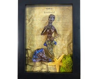 Mermaid Corpse Skeleton Mummified Specimen in a Frame Oddity Medical Mummy Display