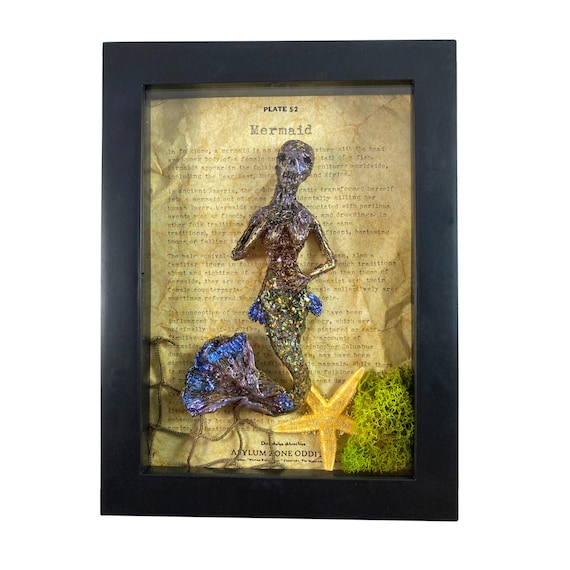 Mermaid Corpse Skeleton Mummified Specimen in a Frame Oddity Medical Mummy Display
