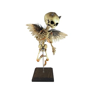 Incubus Rising Demon Devil Demonic Fetus Skeleton Oddity