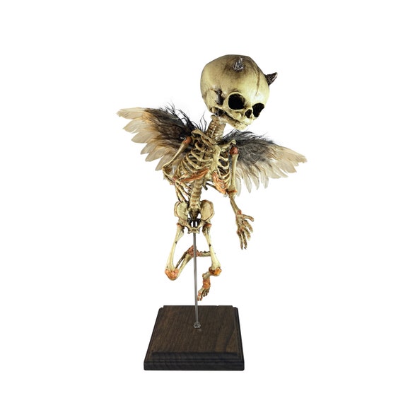 Incubus Rising Demon Devil Demonic Fetus Skeleton Oddity