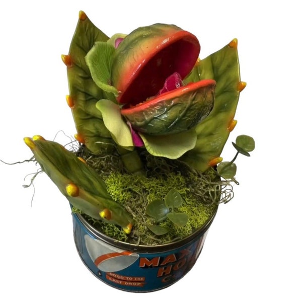 Deluxe Baby Little Shop Killer Plant Audrey Horror Piranha Alien Venus Fly Trap