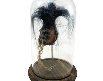 Shrunken Head with Hair in Bell Jar