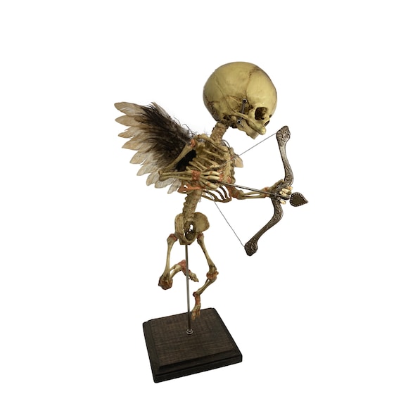 Cupid Fetus Skeleton Angel Valentine's Day Oddity